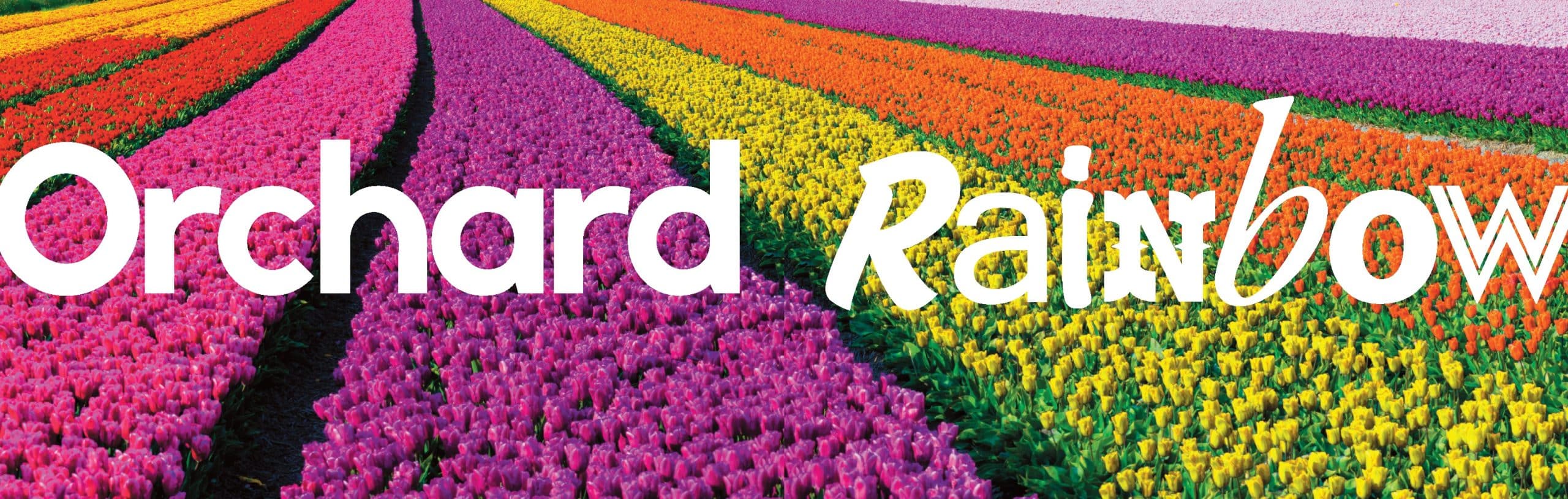 Orchard Rainbow High Definition Colour Print
